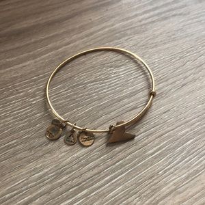Shark Charm Alex and Ani